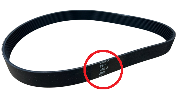 American Beauty Replacement Belt